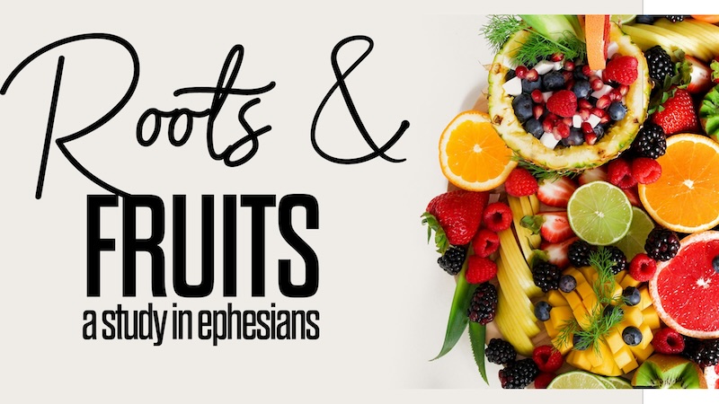 Roots and Fruits sermon series